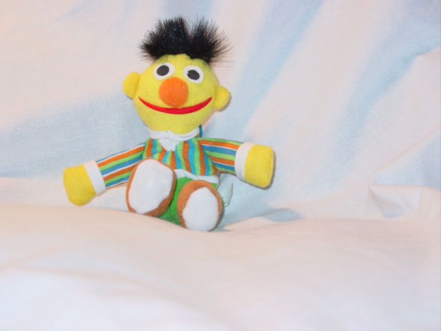 Tyco Preschool - Bert Beanie Clip On